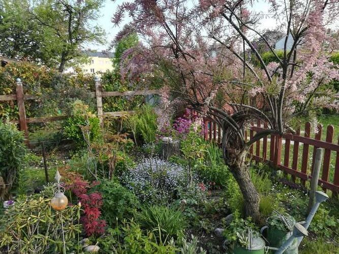 Schönster Garten 2021 - Bettina aus Wels