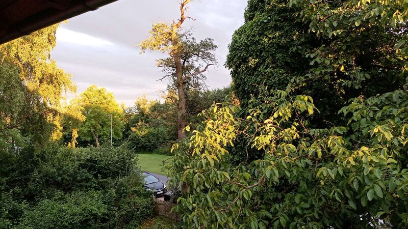 Schönster Garten 2021 - Valerie aus Linz-Land