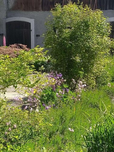 Schönster Garten 2021 - Martina aus Braunau