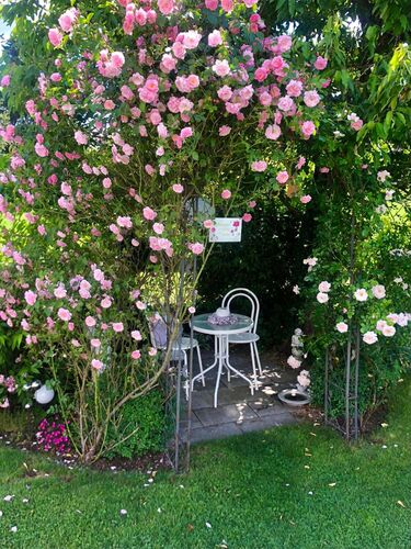 Schönster Garten 2021 - Manuela aus Freistadt