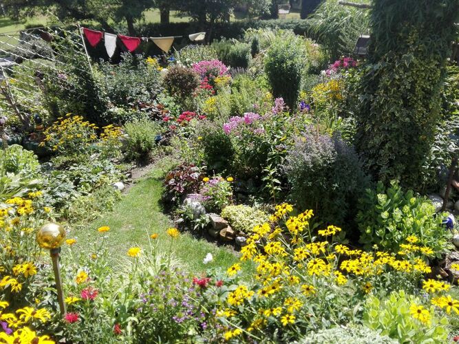 Schönster Garten 2021 - Angelika aus Braunau