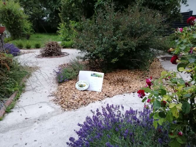 Schönster Garten 2021 - Karl aus Freistadt