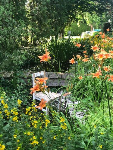 Schönster Garten 2021 - Margarete aus Eferding