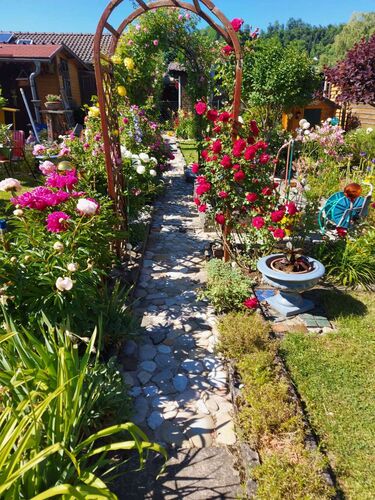 Schönster Garten 2021 - Olga aus Steyr