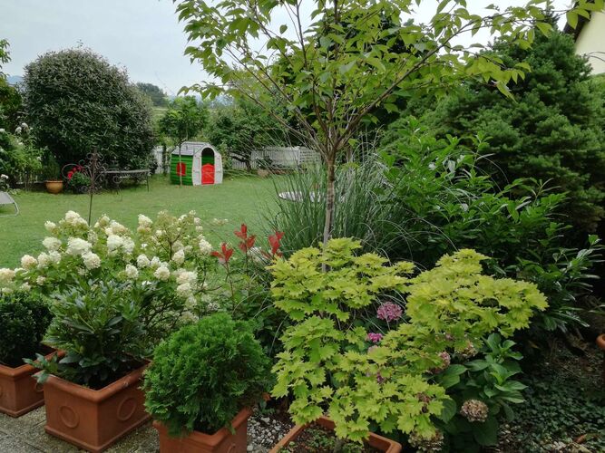 Schönster Garten 2021 - Amina aus Vöcklabruck