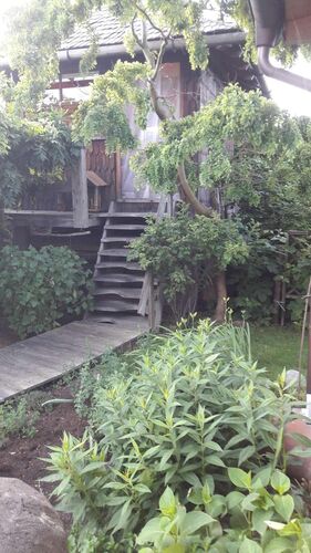 Schönster Garten 2021 - Theresia aus Braunau