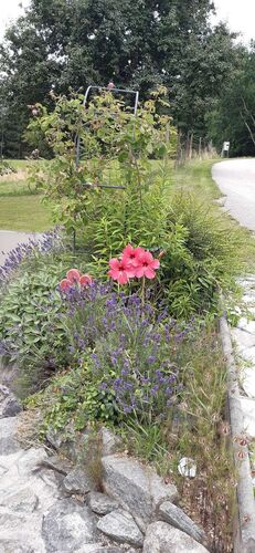 Schönster Garten 2021 - Barbara aus Eferding