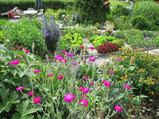 Schönster Garten 2021 - Christine  aus Vöcklabruck