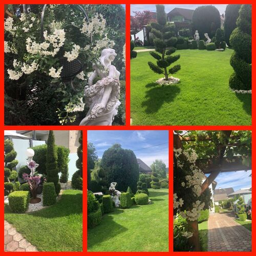 Schönster Garten 2021 - Friederike aus Vöcklabruck