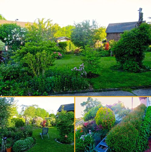 Schönster Garten 2021 - Helga aus Gmunden