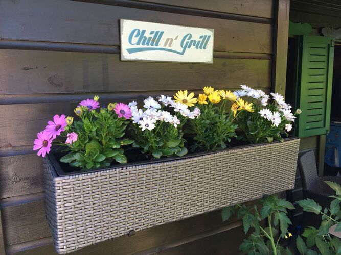 Schönster Garten 2021 - Robert  aus Wels