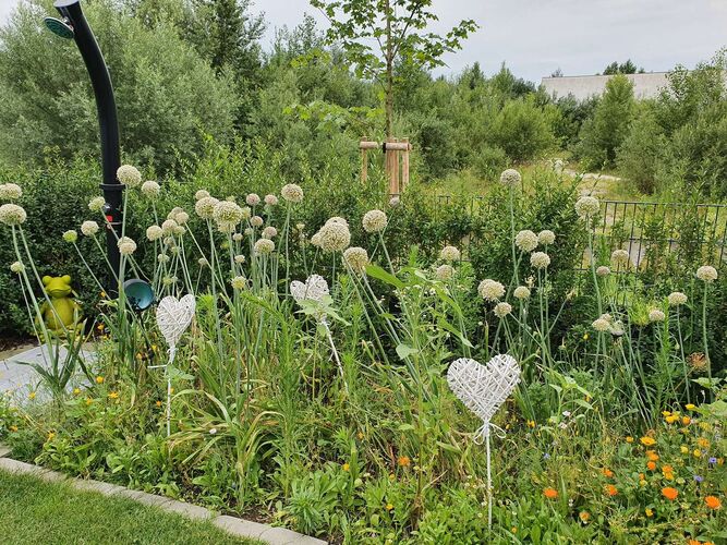Schönster Garten 2021 - Daniela aus Linz