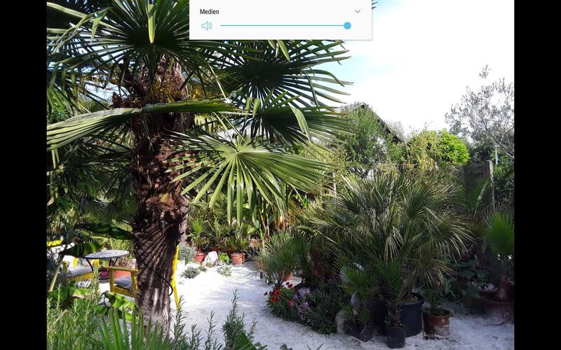 Schönster Garten 2021 - Ernst aus Schärding