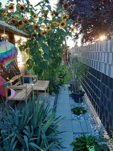 Schönster Garten 2021 - Gerald aus Perg