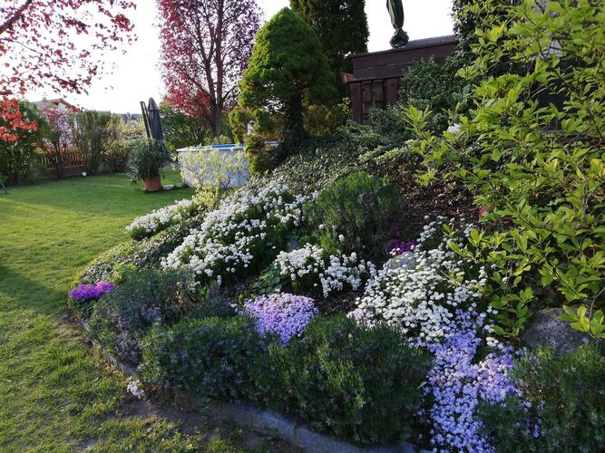 Schönster Garten 2021 - Isabella aus Amstetten