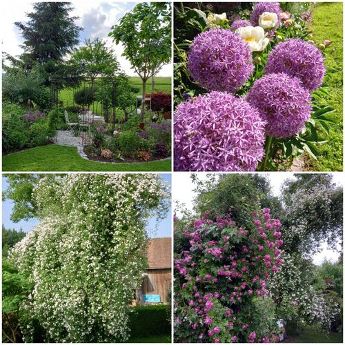 Schönster Garten 2021 - Marion aus Grieskirchen