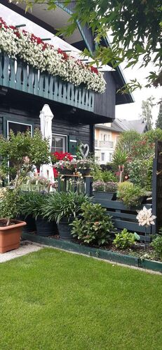 Schönster Garten 2021 - Sonja aus Wels