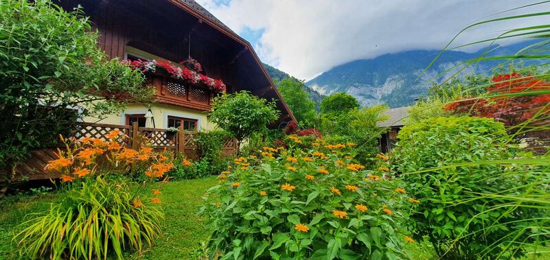 Schönster Garten 2021 - Margit  aus Gmunden