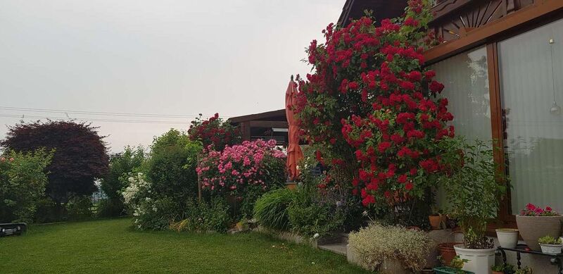 Schönster Garten 2021 - Helena aus Vöcklabruck