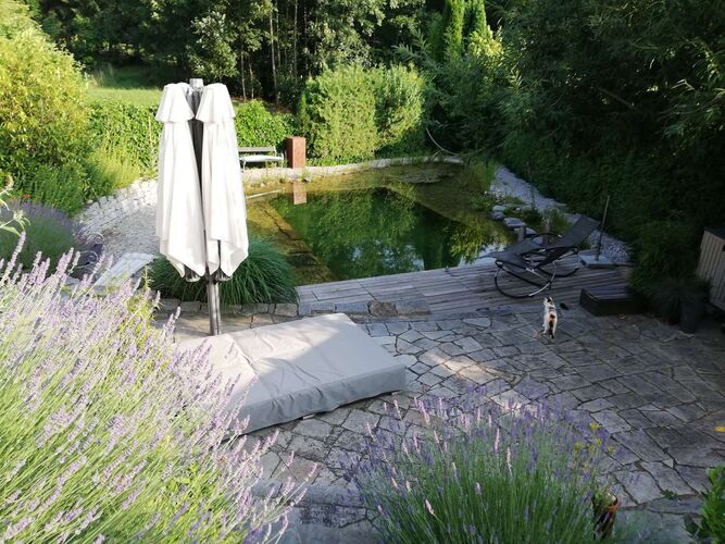 Schönster Garten 2021 - Helga aus Melk