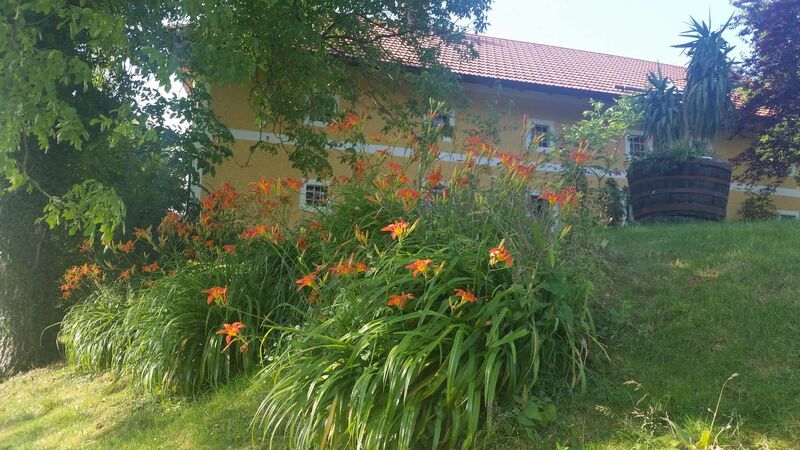 Schönster Garten 2021 - Gisela aus Linz-Land