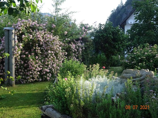 Schönster Garten 2021 - Barbara aus Steyr