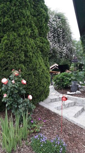 Schönster Garten 2021 - Franz  aus Vöcklabruck