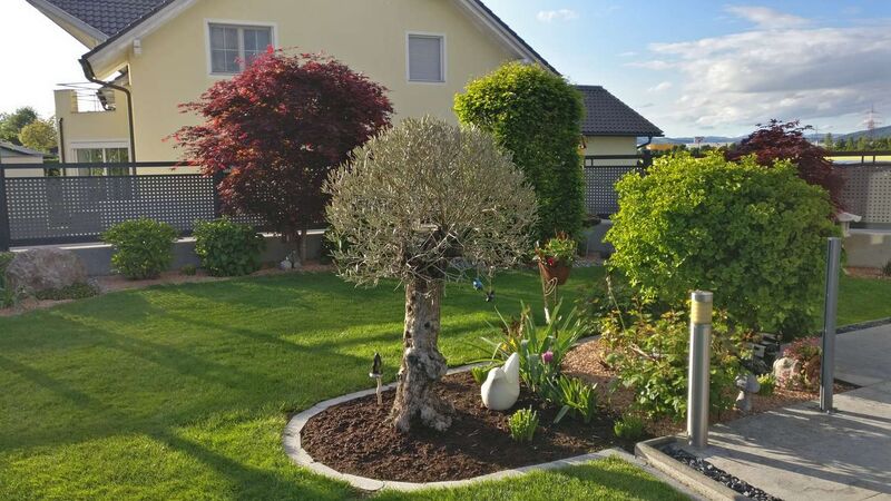 Schönster Garten 2021 - Martina aus Linz-Land