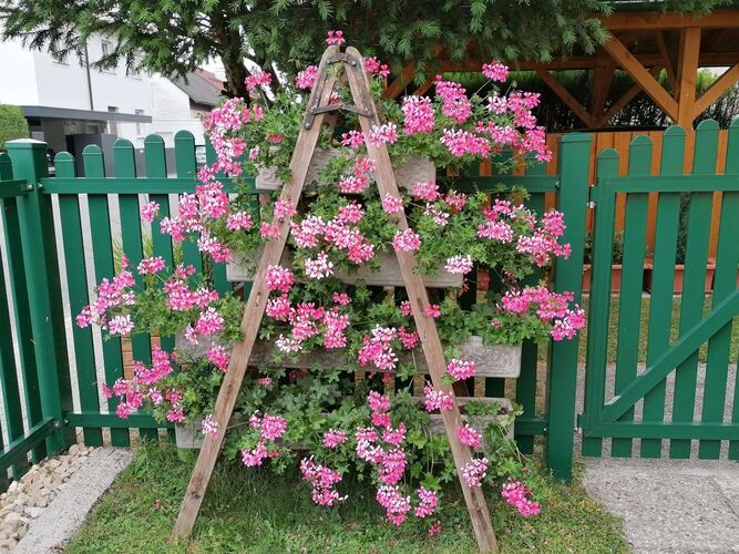 Schönster Garten 2021 - Heinz aus Steyr