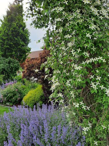 Schönster Garten 2021 - Maria aus Grieskirchen