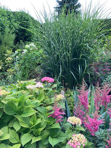 Schönster Garten 2021 - Erika aus Grieskirchen