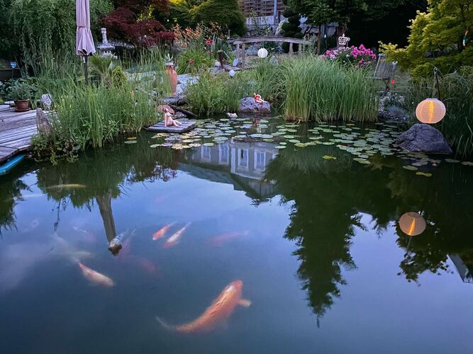 Schönster Garten 2021 - Anita aus Steyr