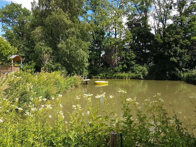 Schönster Garten 2021 - Christine aus Amstetten