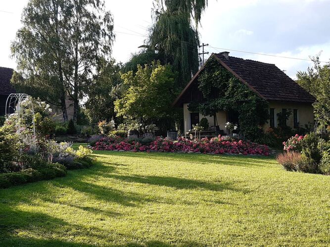 Schönster Garten 2021 - Christine aus Linz-Land