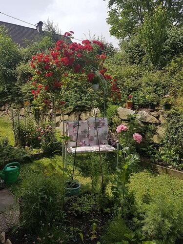 Schönster Garten 2021 - Ute aus Perg