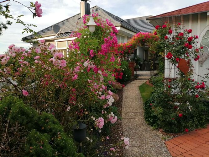 Schönster Garten 2021 - Maria aus Braunau