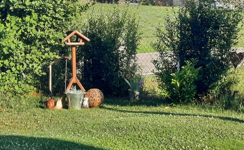 Schönster Garten 2021 - Regina aus Eferding