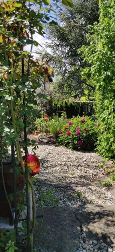 Schönster Garten 2021 - Kornelia aus Urfahr-Umgebung