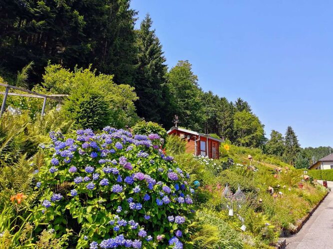 Schönster Garten 2021 - Johann  aus Perg