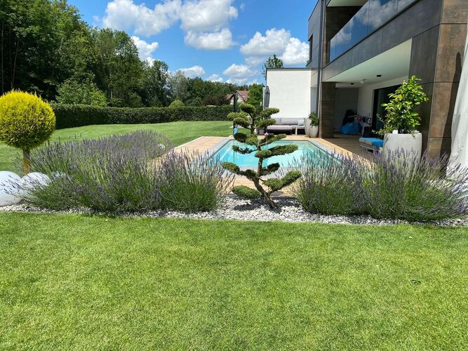 Schönster Garten 2021 - Andrea  aus Schärding