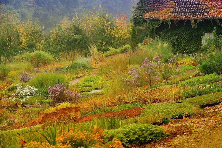 Schönster Garten 2021 - Hans aus Schärding