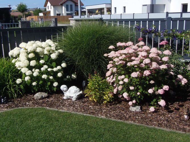 Schönster Garten 2021 - Edeltraud aus Amstetten