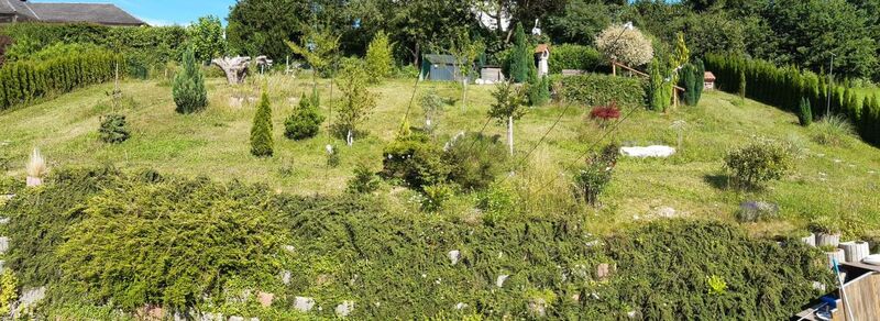 Schönster Garten 2021 - Wolfgang aus Braunau