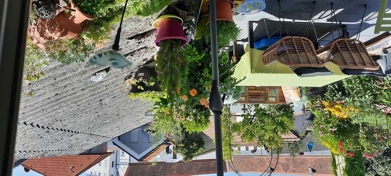 Schönster Garten 2021 - Sonja aus Enns