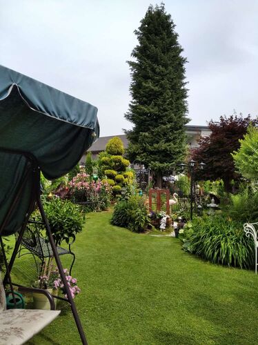 Schönster Garten 2021 - Julia aus Rohrbach