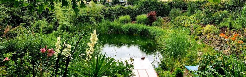 Schönster Garten 2021 - Ursula  aus Schärding