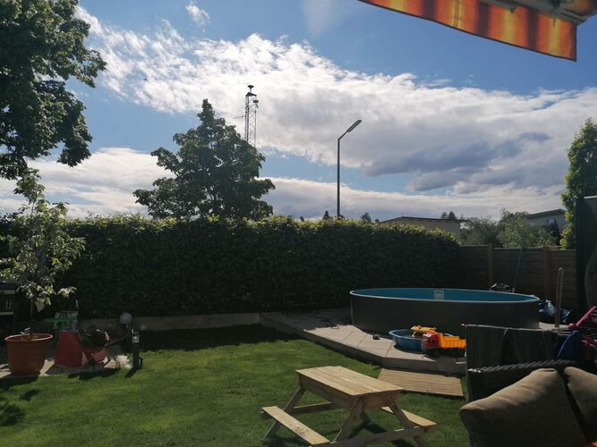 Schönster Garten 2021 - Michael aus Vöcklabruck