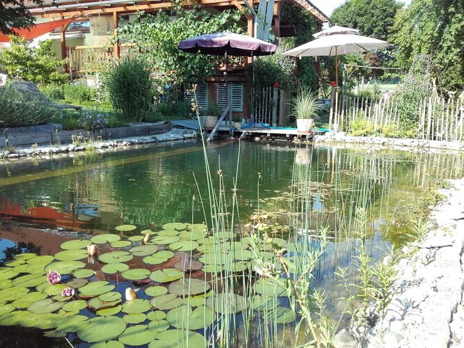 Schönster Garten 2021 - Michael aus Braunau