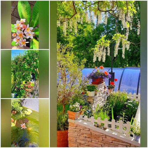 Schönster Garten 2021 - Theresia aus Braunau