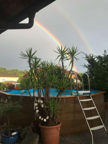 Schönster Garten 2021 - Sabine aus Linz-Land